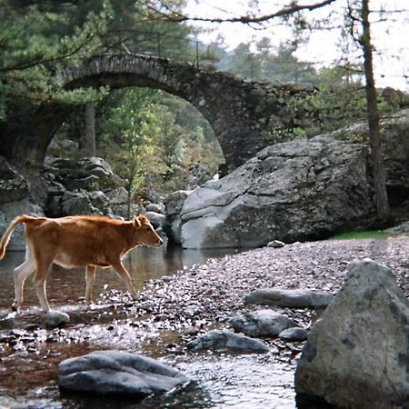 לינה וארוחת בוקר Pioggiola U Pasturellu מראה חיצוני תמונה